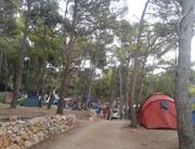 camp Lili