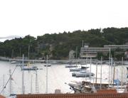 Pogled